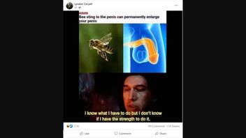 Fact Check: Bee Sting To Penis CANNOT Permanently Enlarge It -- Post Is From A Humor Site