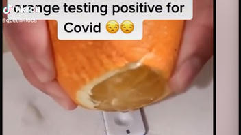 Fact Check: COVID-19 Home Kits Are NOT Designed To Test Food Or Beverages