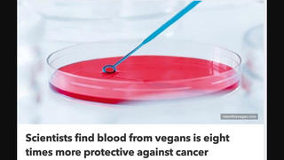Fact Check: 'Vegan Blood' Study Does NOT Prove This Diet Can Fight ALL Cancers