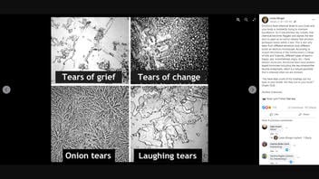 Fact Check: Tears From Different Emotions Do NOT Look Different Due To The Emotion -- It's For Other Reasons