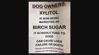 Fact Check: Peanut Butter With Xylitol IS Highly Toxic To Dogs