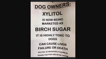 Fact Check: Peanut Butter With Xylitol IS Highly Toxic To Dogs
