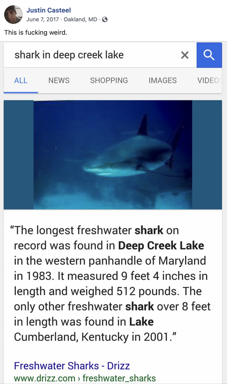 deep creek lake shark image.png