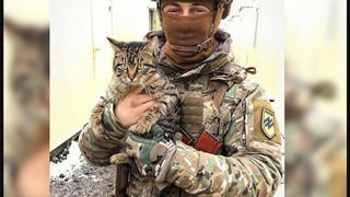 Fact Check: 'Panther Of Kharkiv' Is NOT A Real Military Working Cat