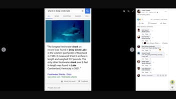 Fact Check: NO 'Freshwater' Sharks Found In Deep Creek Lake, MD 