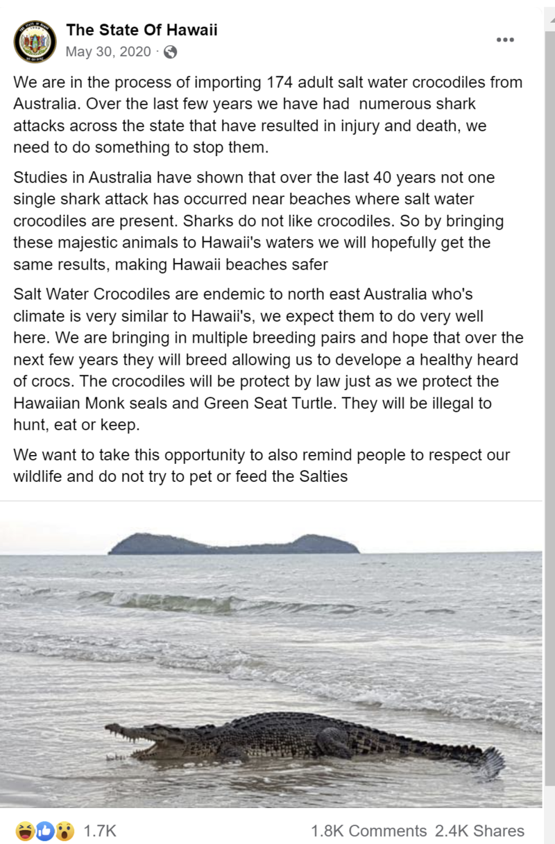 Crocodiles in Hawaii Image.png