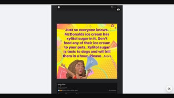 Fact Check: Xylitol Is NOT An Ingredient Found In McDonald's Ice Cream -- But Xylitol IS Harmful To Dogs