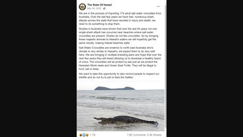 Fact Check: Hawaii Is NOT 'Importing 174 Saltwater Crocodiles From Australia' To Kill Off Sharks