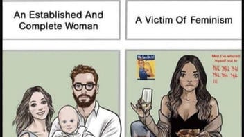 Fact Check: Original Artist's Message In Webcomic Was NOT Labeling Single Woman 'A Victim Of Feminism' 