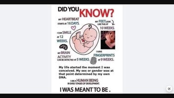 Fact Check: Fetuses Do NOT Have Fingerprints At 9 Weeks