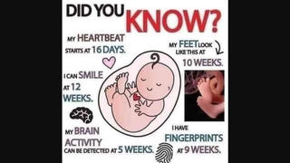 Fact Check: Fetuses Do NOT Have Fingerprints At 9 Weeks