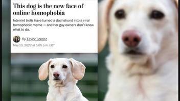 Fact Check: Washington Post Did NOT Publish Article About Dog That's New Face Of Online Homophobia