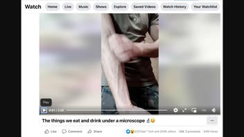 Fact Check: Video Does NOT Prove Presence of These Microscopic Insects In Our Food, Drinks -- It's Clickbait