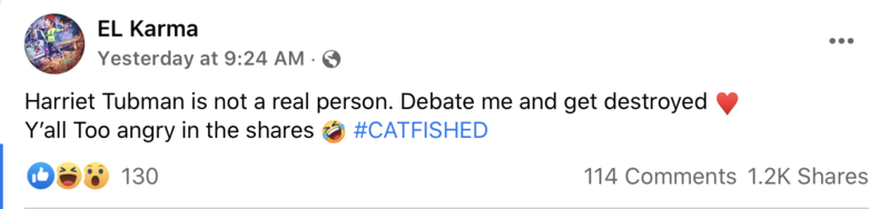 Tubman Not Real Image.png