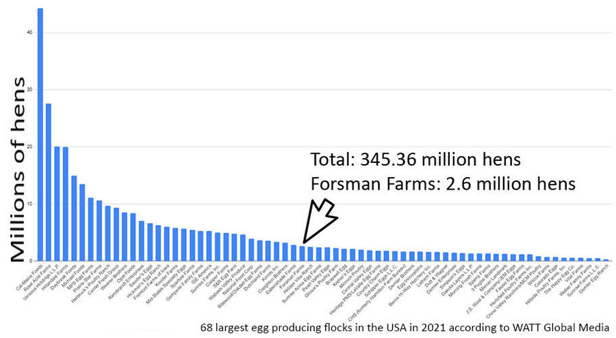 chart.jpg