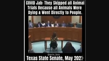 Fact Check: COVID Vaccine Trials Did NOT Skip Animal Testing Because All The Animals Were Dying -- No Steps Were Skipped