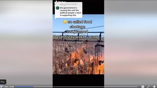 Fact Check: This Video Does NOT Show Government Burning Crops