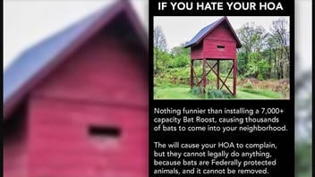 Fact Check: Home Owners Association Hands May NOT Be Tied On Installation Of A Large Bat Roost
