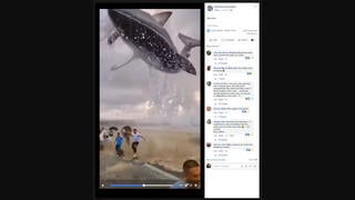 Fact Check: Video Does NOT Depict A 'Big Shark' Breaching On Fleeing Crowd Of People On Shore