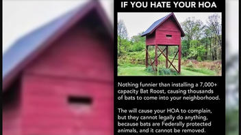 Fact Check: Home Owners Association Hands May NOT Be Tied On Installation Of A Large Bat Roost