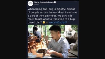 Fact Check: WEF Did NOT Tweet About 'When Being Anti-Bug Is Bigotry'
