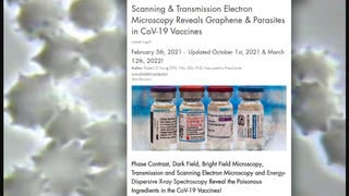 Fact Check: Graphene, Parasites NOT Found In COVID-19 Vaccines By Robert Young With Electron Microscopy