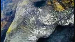 Fact Check: Elephant-Shaped Rock Formations Are NOT Proof Of Giants -- They Had Volcanic Origins