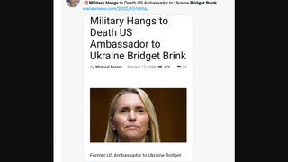 Fact Check: Military Did NOT Execute US Ambassador to Ukraine Bridget Brink