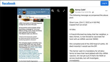 Fact Check: mRNA Vaccines For Livestock Are NOT Mandated For Australian Farmers As Of October 2022