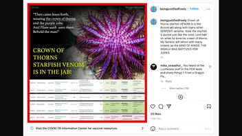 Fact Check: Snake, Starfish Venom Are NOT In COVID Vaccines