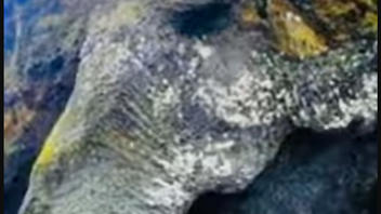 Fact Check: Elephant-Shaped Rock Formations Are NOT Proof Of Giants -- They Had Volcanic Origins