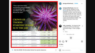 Fact Check: Snake, Starfish Venom Are NOT In COVID Vaccines