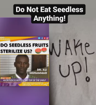 Seeedless Fruit: Sterilization Image.png