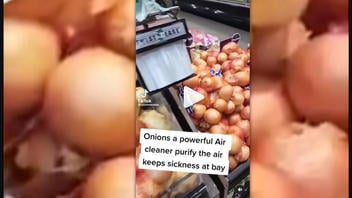 Fact Check: Sliced Onions Will NOT Purify The Air To Keep Sickness At Bay