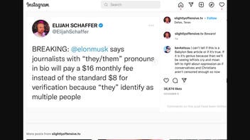 Fact Check: Elon Musk NOT Charging Journalists Using 'They/Them' Pronouns $16 For Blue Check Verification Of Accounts