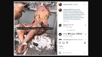 Fact Check: McDonald's Does NOT Use Human Flesh For Hamburgers, Sausages -- Video Shows Lamb Roasting