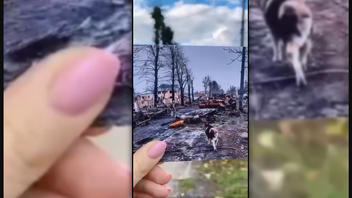 Fact Check: Before-And-After Photos From Ukraine Do NOT Show Evidence Of Propaganda Fakery Or 'Magically Restored' Destruction