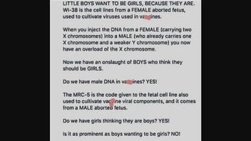 Fact Check: Vaccines Do NOT Make Boys 'Think They Should Be GIRLS' And Do NOT Produce 'Girls Thinking They Are Boys'