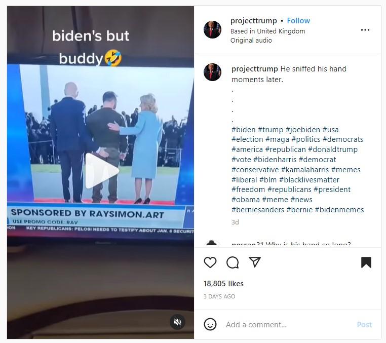 instagrambidens.jpg