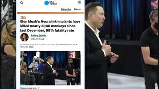 Fact Check: USA Today Did NOT Publish This Article On Neuralink Study Monkey Deaths -- Screenshot Is Made Up 