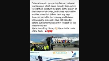 Fact Check: World Cup German National Team's Plane NOT Banned From Landing In Qatar For FIFA Because Of Its Diversity Logo, Mural