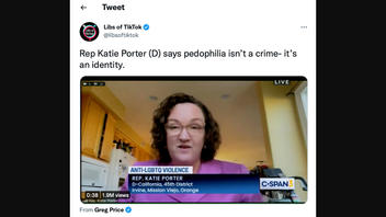 Fact Check: Video Does NOT Show Katie Porter Saying Pedophilia Is An 'Identity' Not A Crime -- Clip Is Taken Out Of Context