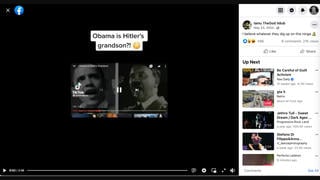 Fact Check: Obama Is NOT Hitler's Grandson