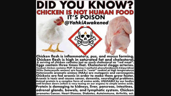 Fact Check: Chicken Is NOT 'Poison'