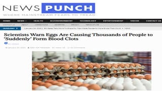 Fact Check: Scientists Did NOT Warn Eggs Are Causing Thousands Of People To 'Suddenly' Form Blood Clots