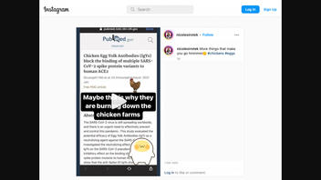 Fact Check: Chicken Egg Yolk Antibodies (IgYs) Research Is NOT Connected To Farm Fires -- Study Was About Eggs From Hens Immunized For Testing