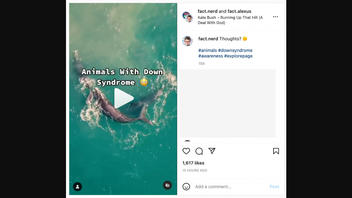 Fact Check: Animals Do NOT Have Down Syndrome