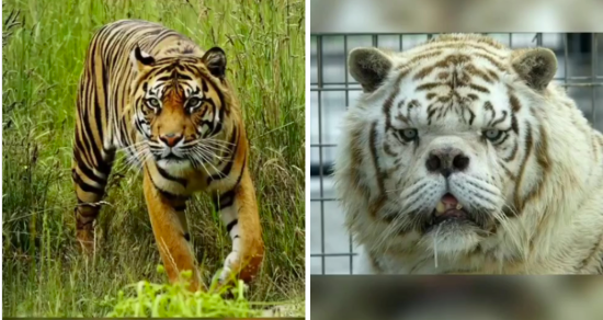 Screen Shot 2023-02-10 at 2.51.20 PM.png