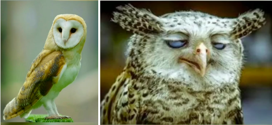 Screen Shot 2023-02-10 at 2.53.16 PM.png