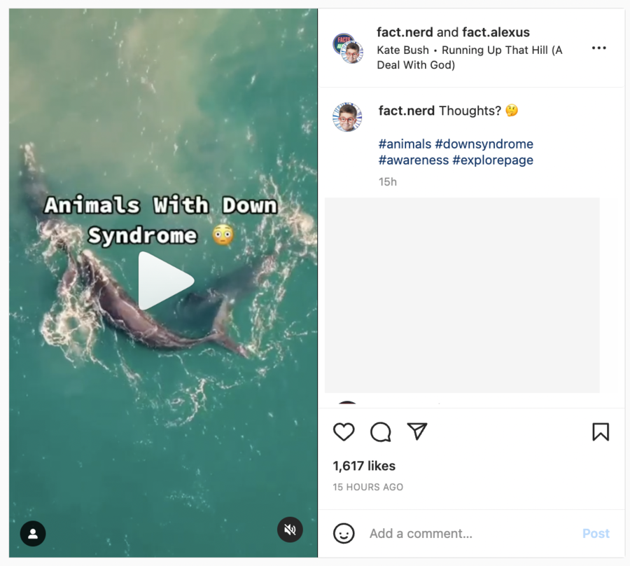 Screen Shot 2023-02-09 at 10.36.45 AM.png